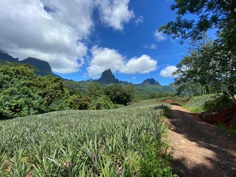 Beach De Reve De Moorea Hauru Exterior photo